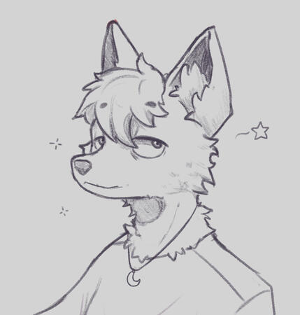 Furry pfp